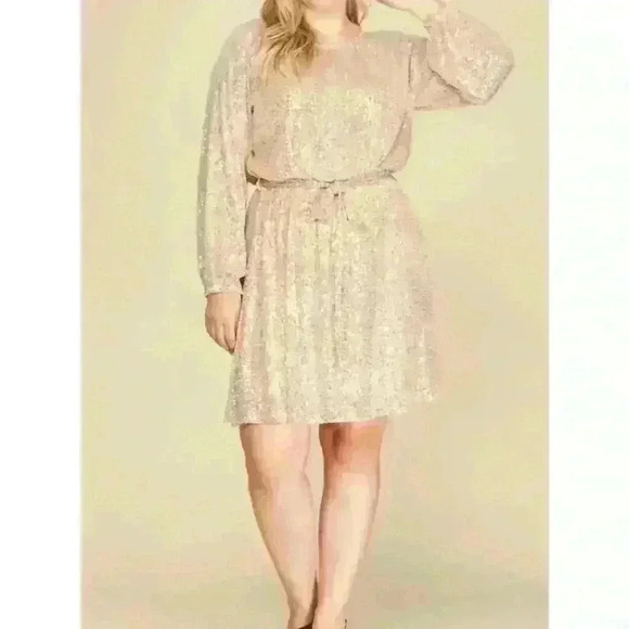 NEW SHE + SKY long sleeve sequin dress plus in champagne - Picture 3 of 3